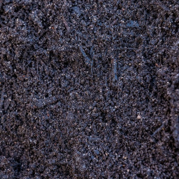Gartensubstrat Nahaufnahme von dunklem, feinkörnigem Gartensubstrat mit einer krümeligen Textur und kleinen organischen Partikeln