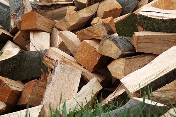 Kaminholz abgelagert Kaminholz abgelagert